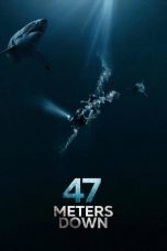 Df21 Nonton 47 Meters Down (2017)